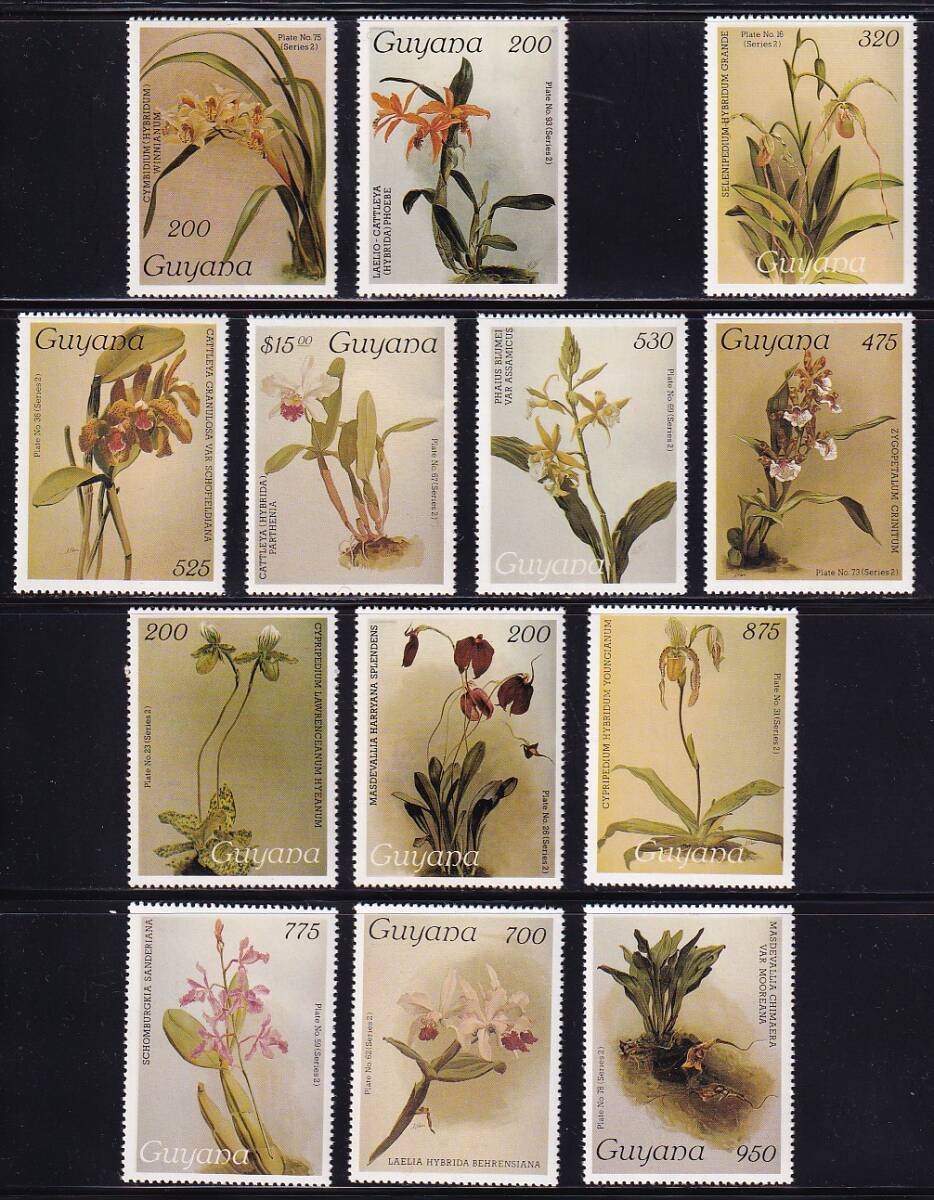 18 ガイアナ【未使用】＜「1988 ランの花」 13種 ＞の画像1