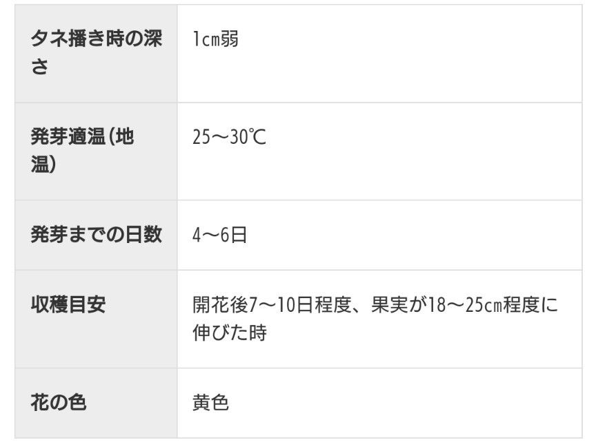 きゅうり　無農薬の種　大病霜知らず　たね　きゅうりの種　家庭菜園　プランター　国内採種　自然農法　自然のたね　野菜の種　種　10粒