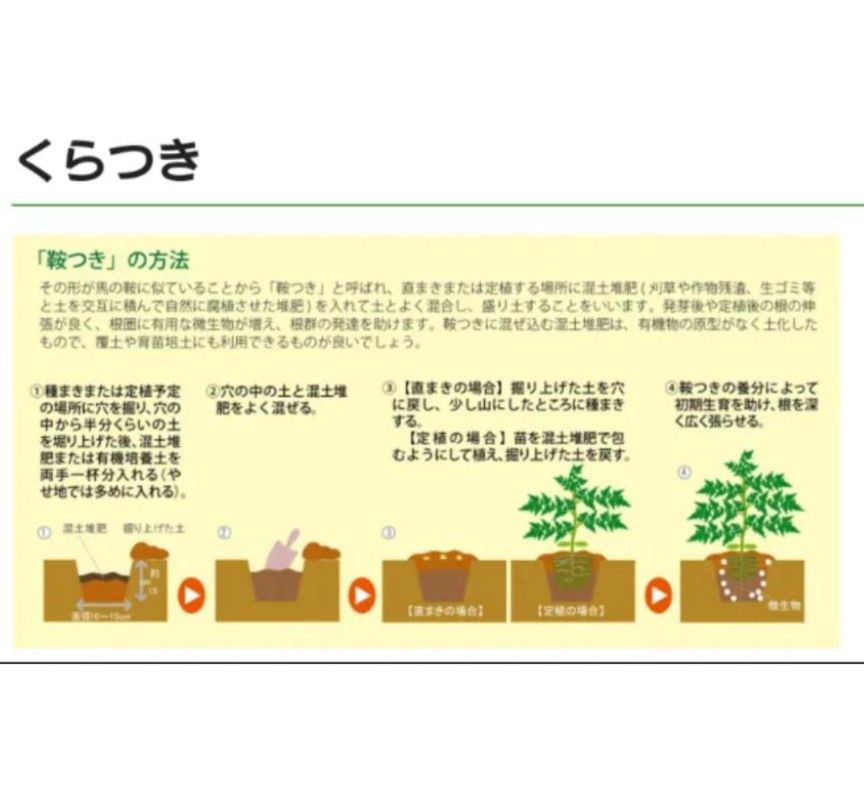 かぼちゃ　南瓜　カンリー2号　かぼちゃの種　無農薬の種　自農系　国内採種　家庭菜園　　プランター　有機野菜　身体に安心　10粒