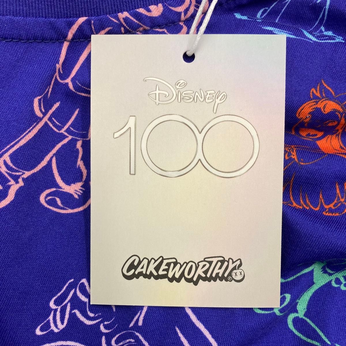 XXL cakeworthy ディズニー 100周年 半袖 Tシャツ ミッキーマウスバンド ティンカーベル ミゲル ダンボ
