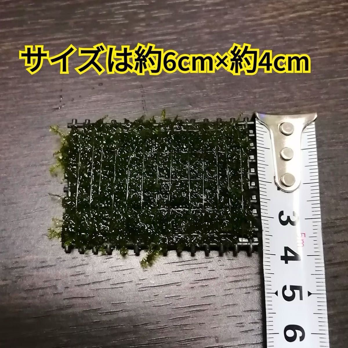 6枚 南米ウィローモス マット 無農薬 ミナミヌマエビ ヤマトヌマエビ レッドビーシュリンプ メダカ グッピー 金魚 水草 