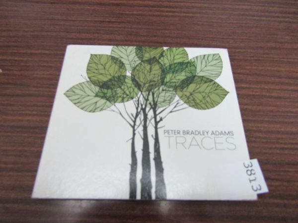 3813　CD Peter Bradley Adams / Traces デジパック_画像1
