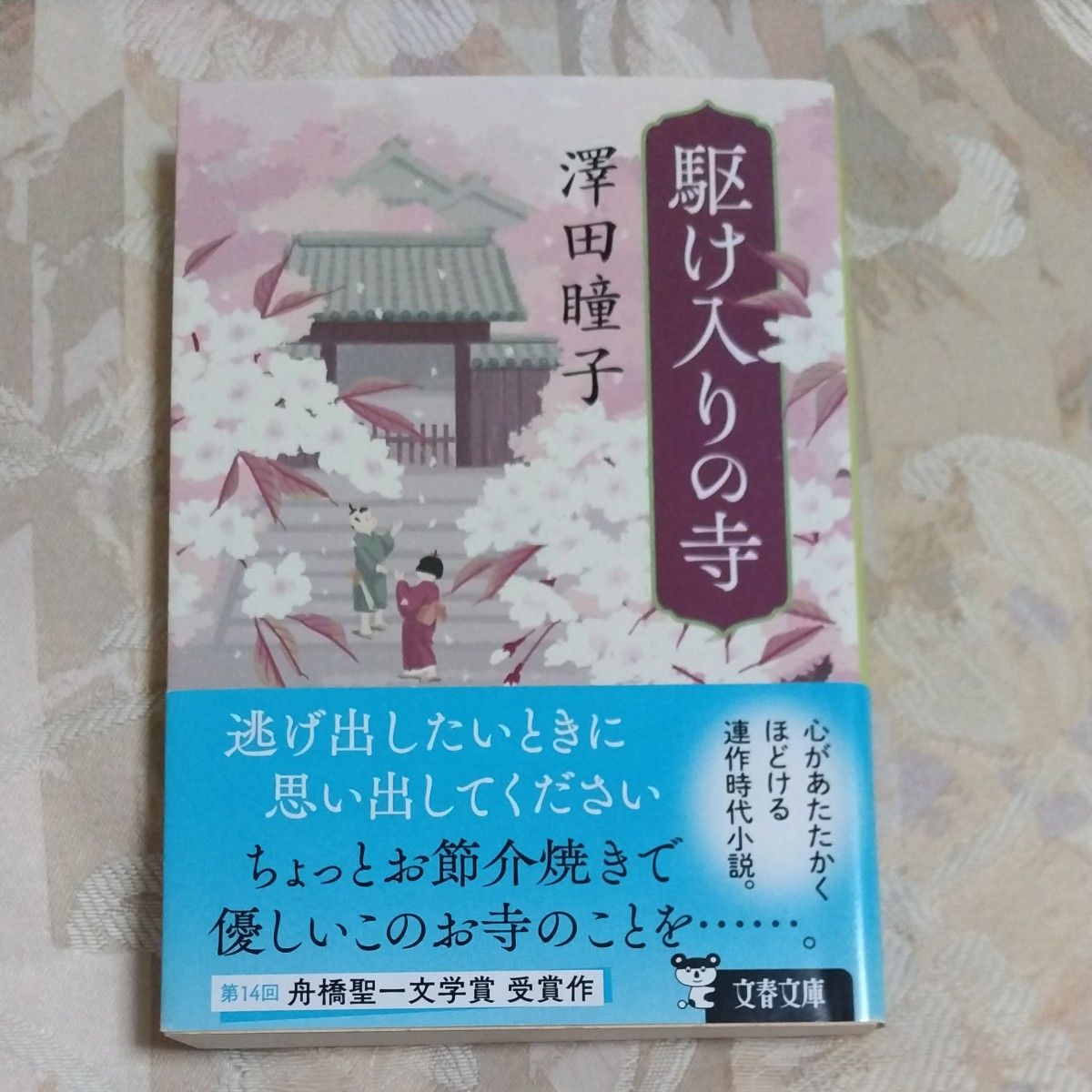 駆け入りの寺 （文春文庫　さ７０－２） 澤田瞳子／著