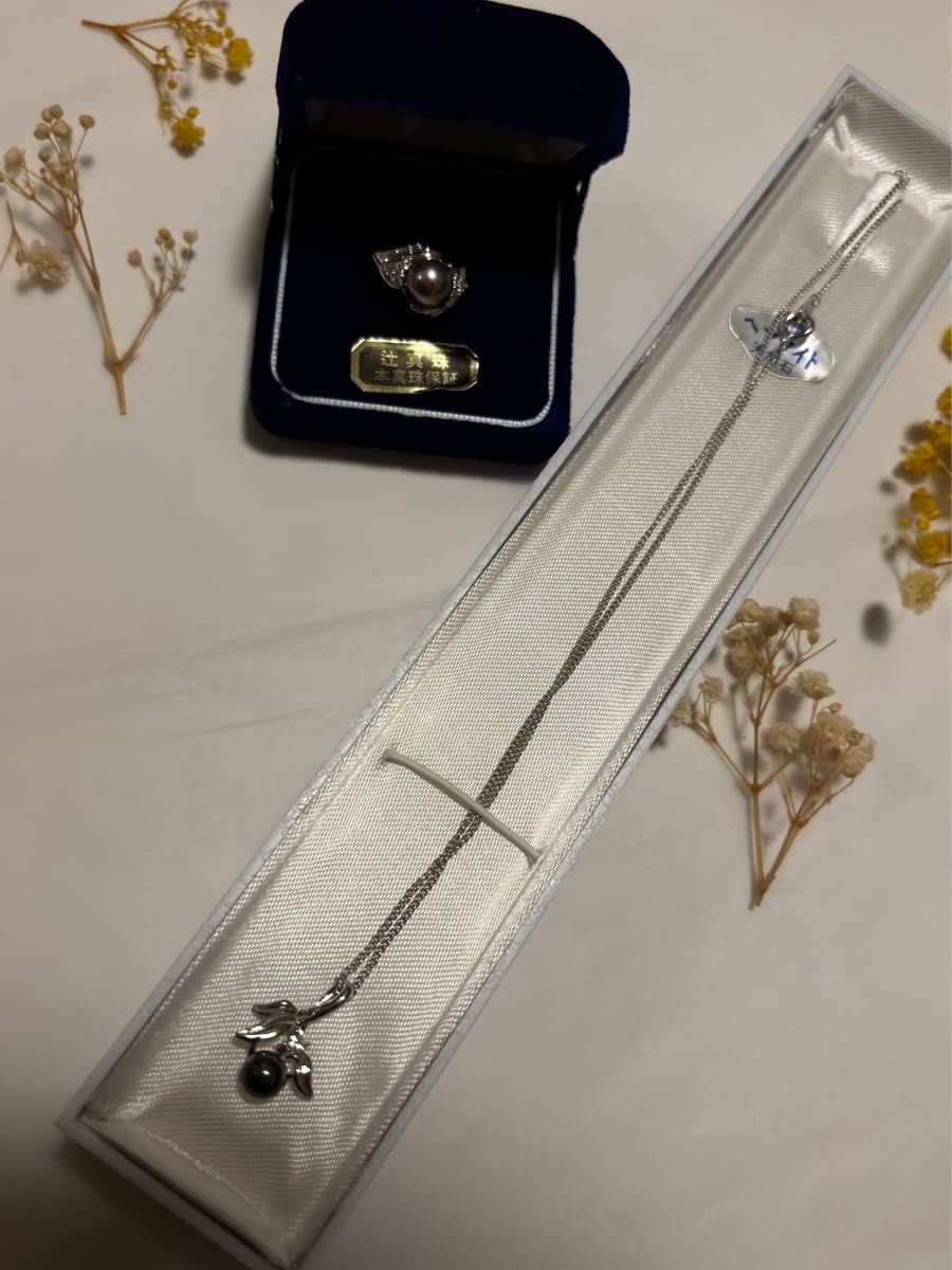 ネックレス アクセサリー ヘマタイト 本真珠 辻真珠 セット シルバー silver 指輪 リング 単品購入可能