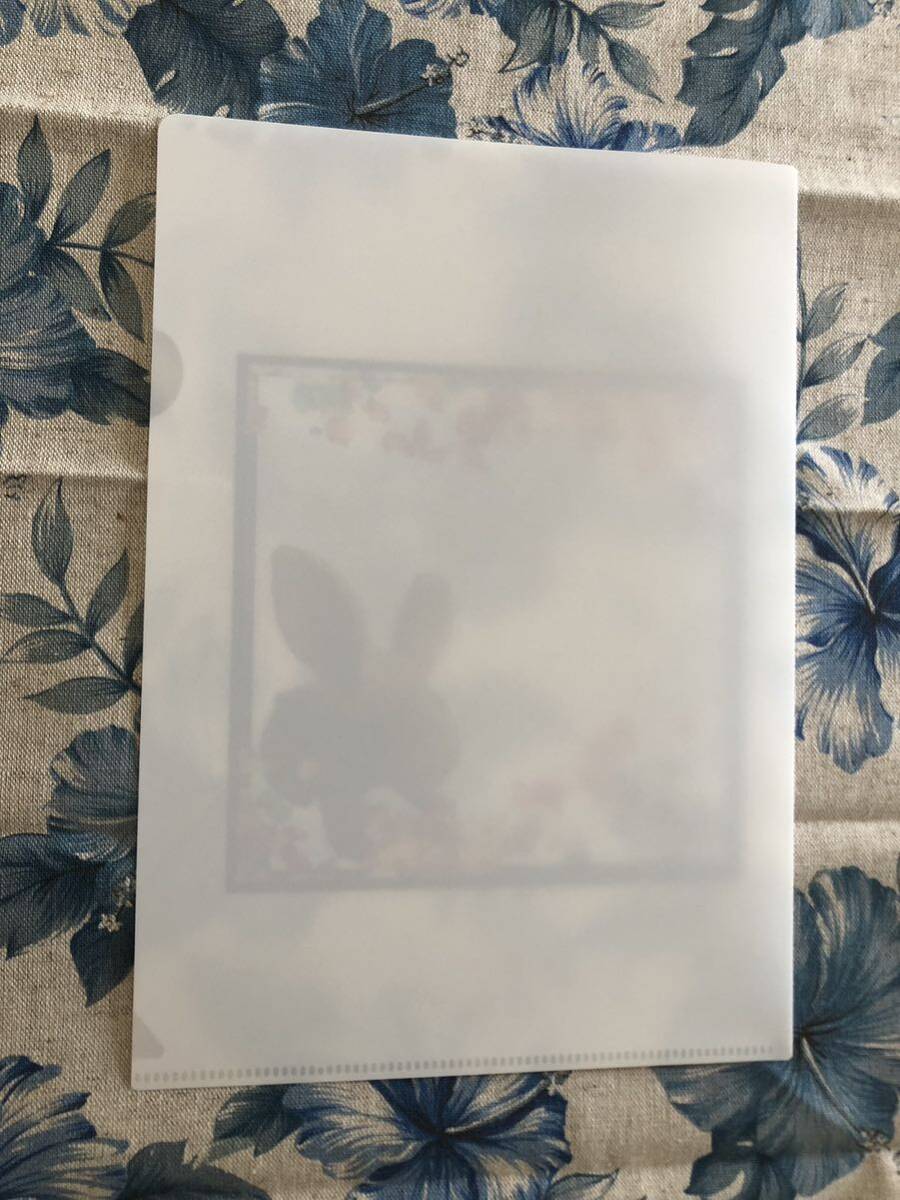 1. ハンドメイド ファイル ウサギ ホワイト 白の画像2