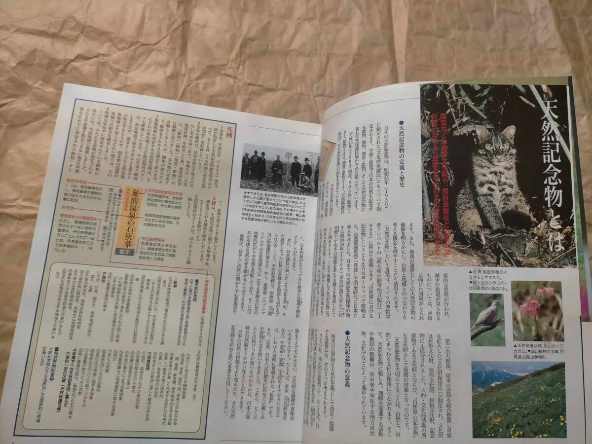 自然紀行 日本の天然記念物 図鑑 資料本 写真 本 日本 天然記念 自然紀行 日本の天然記念物 図鑑 資料本 写真 本 日本 天然記念
