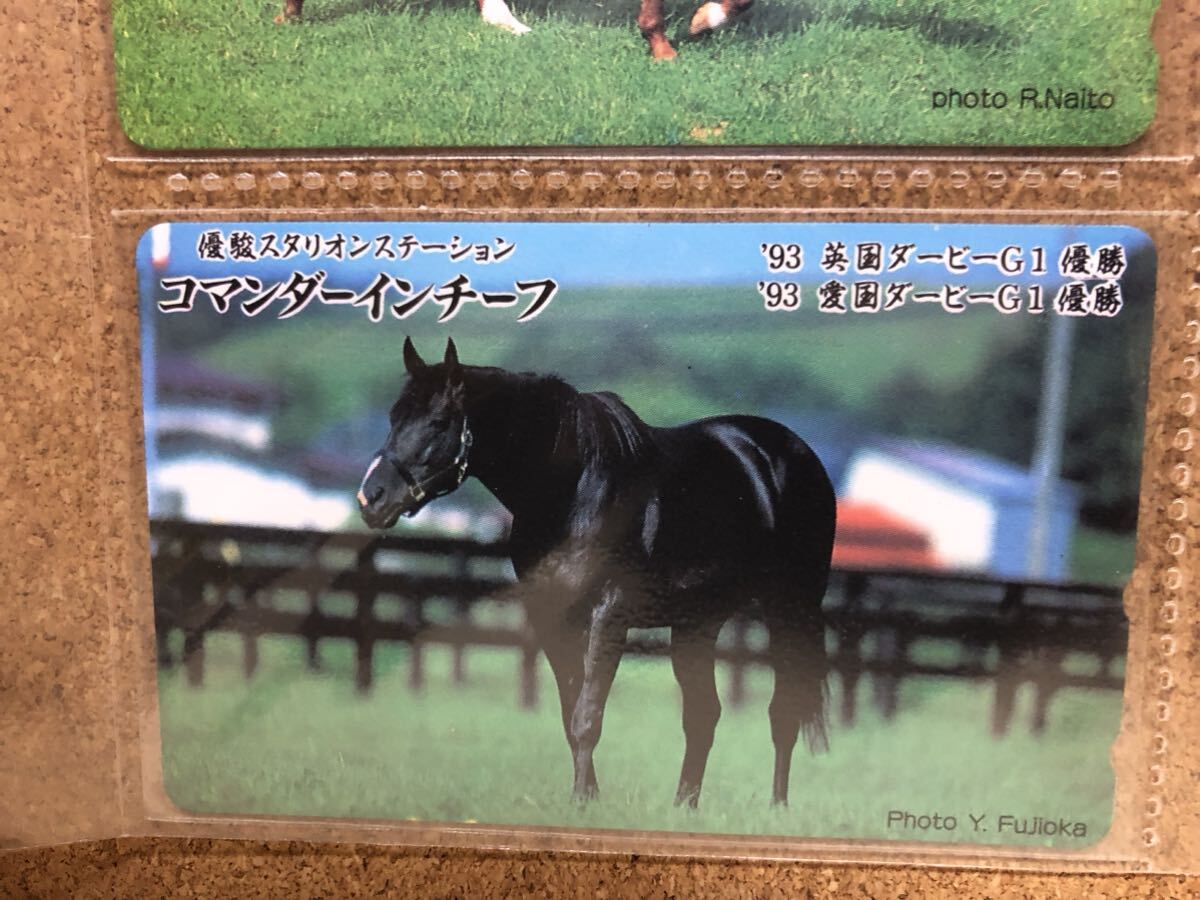 テレホンカード★競馬★50度数10枚5000円分★ウイニングチケット★ラムタラ★メジロライアン★ヒシアマゾン★他 Aの画像6