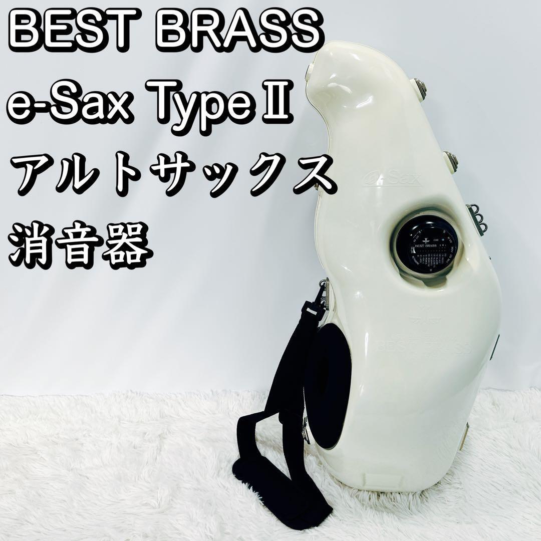 BEST BRASS e-Sax TypeⅡ アルトサックス 消音器 タイプ2_画像1