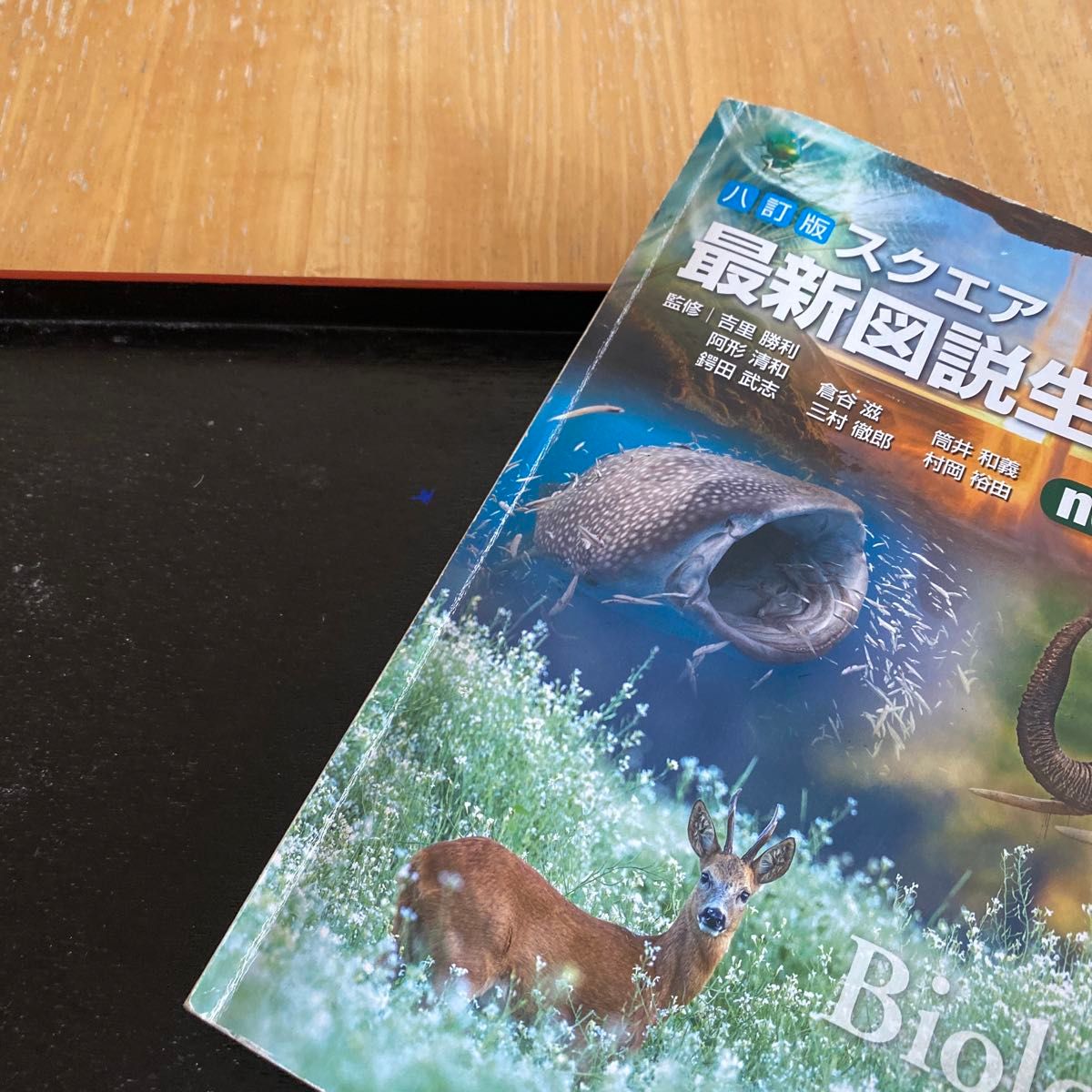 八訂版スクエア最新図説生物neo|Yahoo!フリマ(旧PayPayフリマ) 八訂版スクエア最新図説生物neo|Yahoo!フリマ(旧PayPayフリマ)