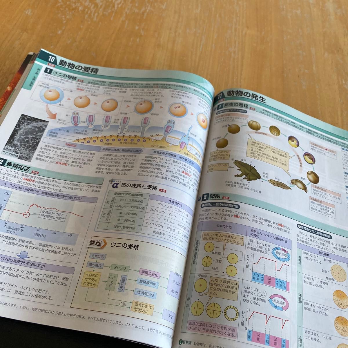 八訂版スクエア最新図説生物neo|Yahoo!フリマ(旧PayPayフリマ) 八訂版スクエア最新図説生物neo|Yahoo!フリマ(旧PayPayフリマ)