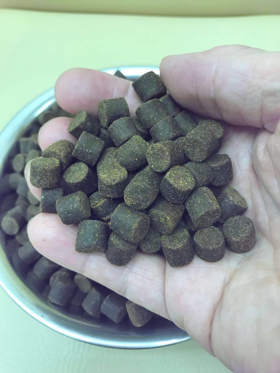 ヤフオク 送料無料 チヌ釣りの餌 チヌペレット10 10kg入 ヤフオク 送料無料 チヌ釣りの餌 チヌペレット10 10kg入
