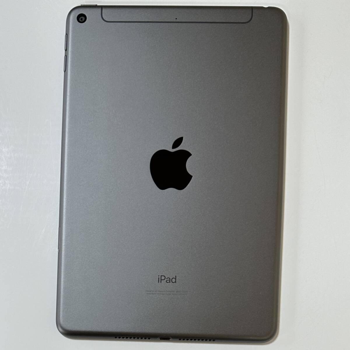 Apple SIMフリー iPad mini (第5世代) スペースグレイ 64GB MUX52J/A Wi-Fi+Cellular アクティベーションロック解除済_画像10