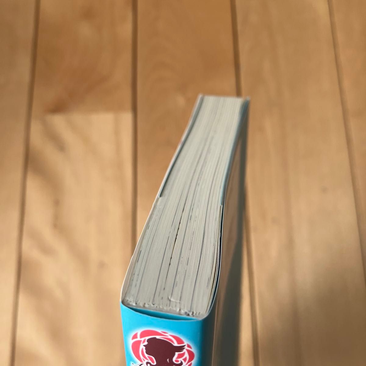 薬で幼くなったおかげで冷酷公爵様に拾われました　捨てられ聖女は錬金術師に戻ります　１ （アリアンローズ） 佐槻奏多／著