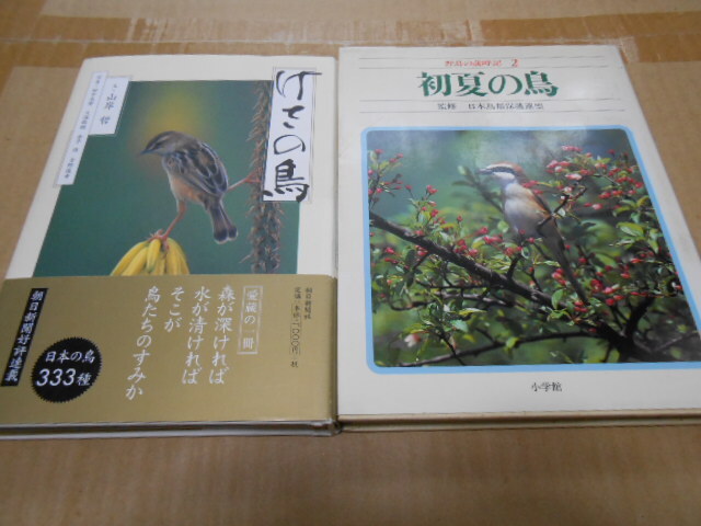  бесплатная доставка *... птица японский птица 333 вид * первый лето. птица дикая птица лет час регистрация 2* итого 2 шт. 