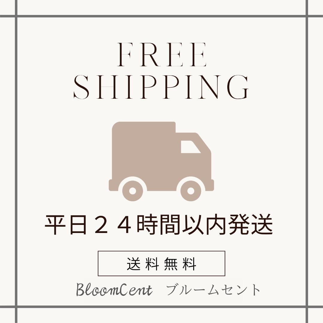 BloomCent ダイヤモンド スフィア アロマネックレス ローズゴールド 精油の画像8