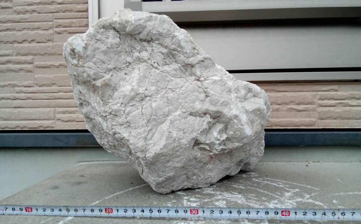 【超特大・希少】　石灰岩　約24kg前後　アフリカンシクリッド等に_画像4
