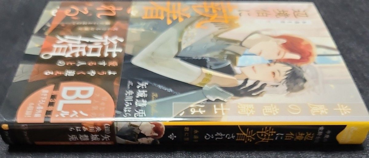 《小説》半魔の竜騎士は、辺境伯に執着される 永遠を君に誓う