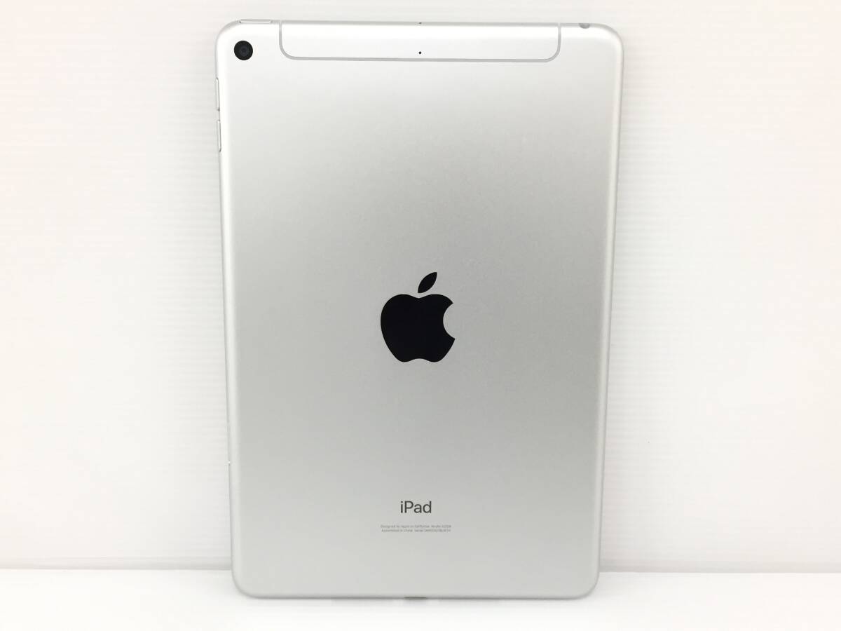 〇【良品】au iPad mini 第5世代 Wi-Fi+Cellularモデル 256GB A2124(MUXD2J/A) シルバー 〇判定 動作品_画像8