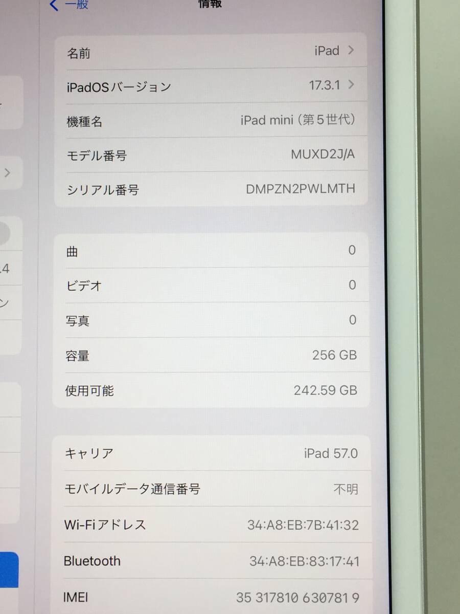 〇【美品】au iPad mini 第5世代 Wi-Fi+Cellularモデル 256GB A2124(MUXD2J/A) シルバー 〇判定 動作品の画像9