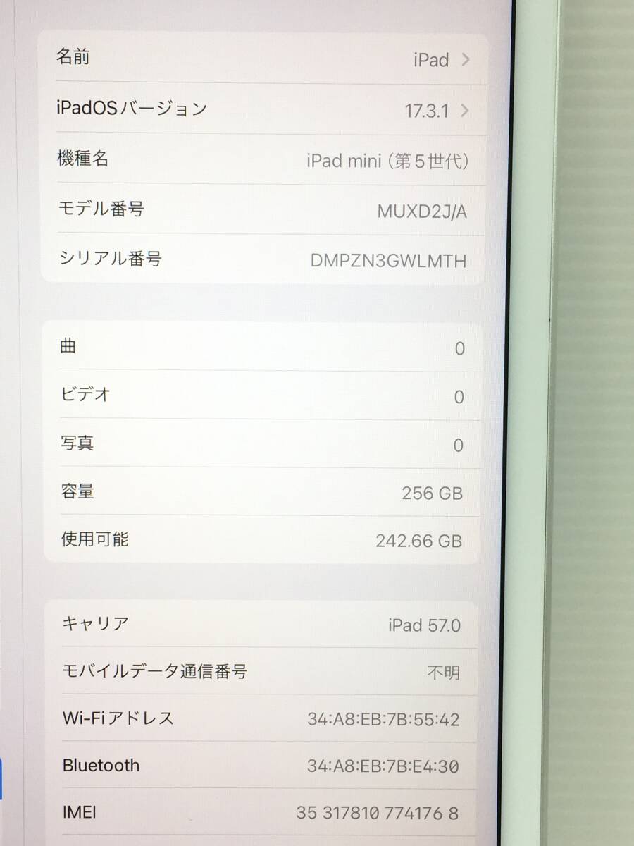 〇【良品】au iPad mini 第5世代 Wi-Fi+Cellularモデル 256GB A2124(MUXD2J/A) シルバー 〇判定 動作品の画像10