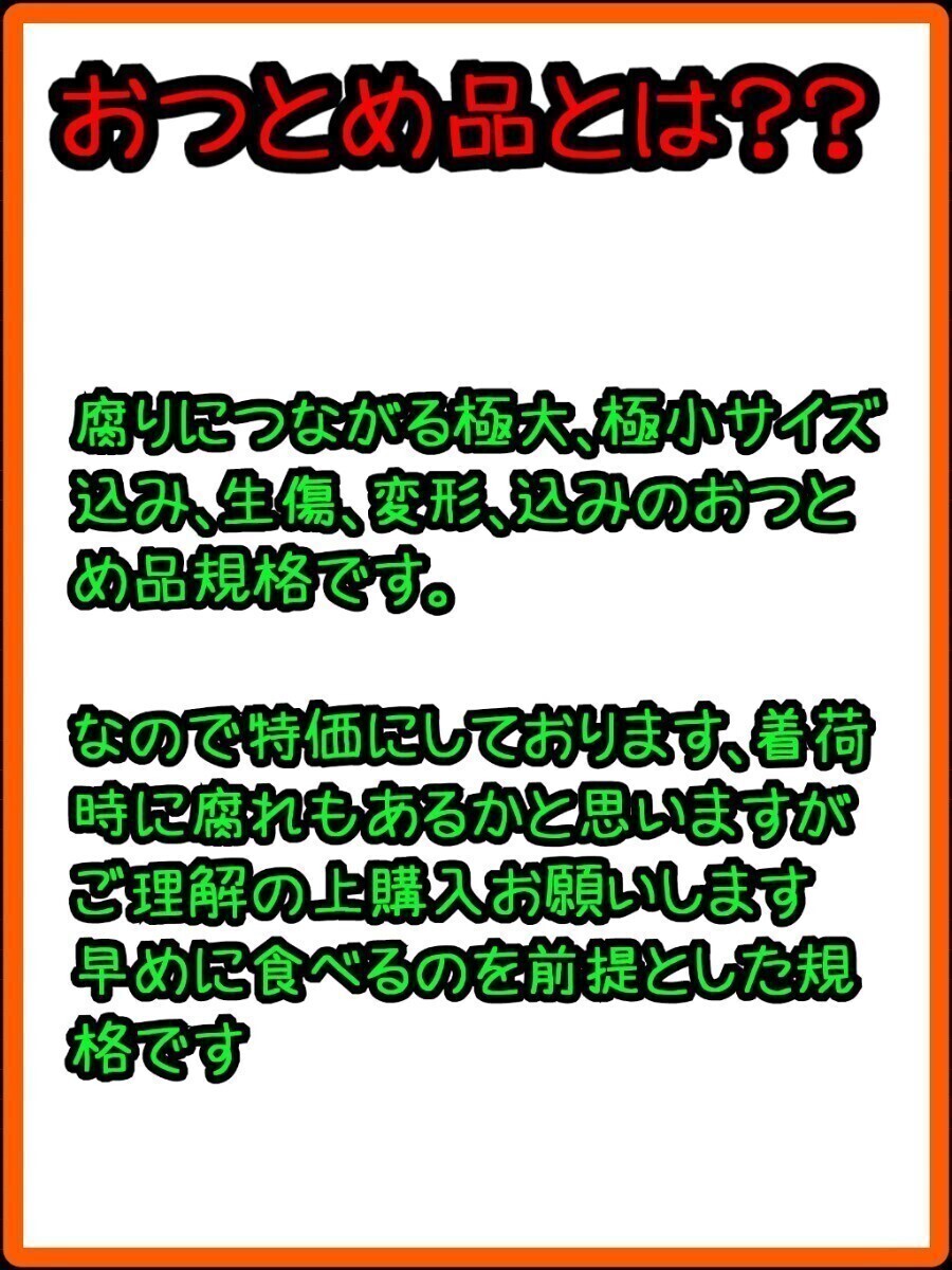 送料込！！超特価！！愛媛県中島産カラマンダリンおつとめ品箱込10㎏(賞味9㌔+保証量0.5㌔)産地直送②_画像6