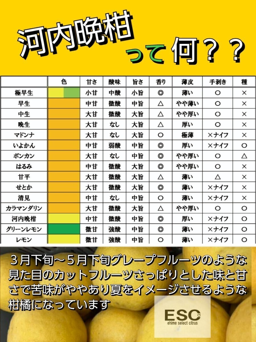 感謝祭！！ヤフオク評価数1000件記念！愛媛県産河内晩柑箱込10㎏(賞味9.5㌔)家庭用サイズ不揃い・産地直送 ②の画像3