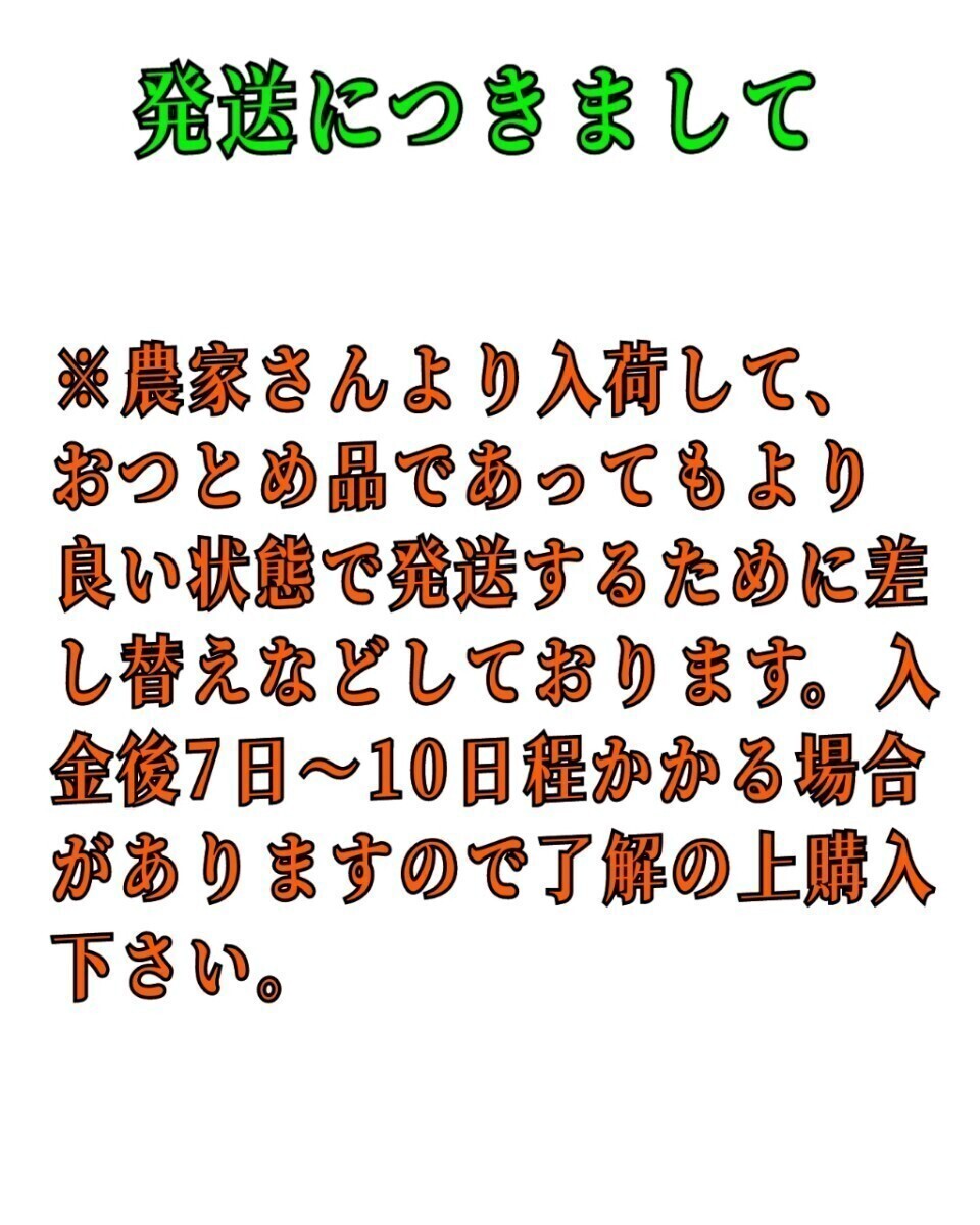 送料込！！超特価！！愛媛県中島産カラマンダリンおつとめ品箱込10㎏(賞味9㌔+保証量0.5㌔)産地直送③_画像8