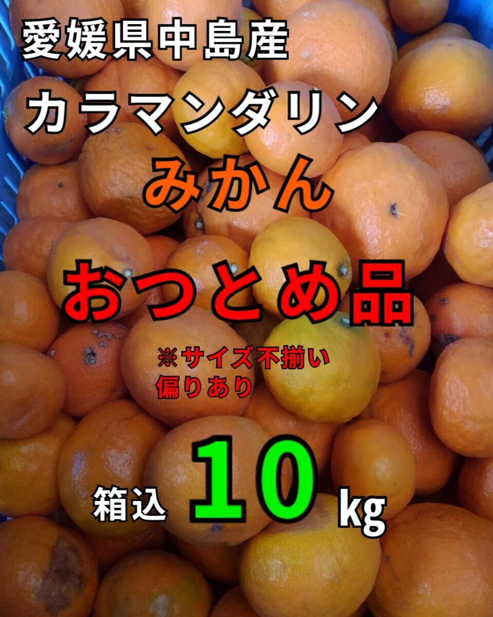 送料込！！超特価！！愛媛県中島産カラマンダリンおつとめ品箱込10㎏(賞味9㌔+保証量0.5㌔)産地直送③_画像1