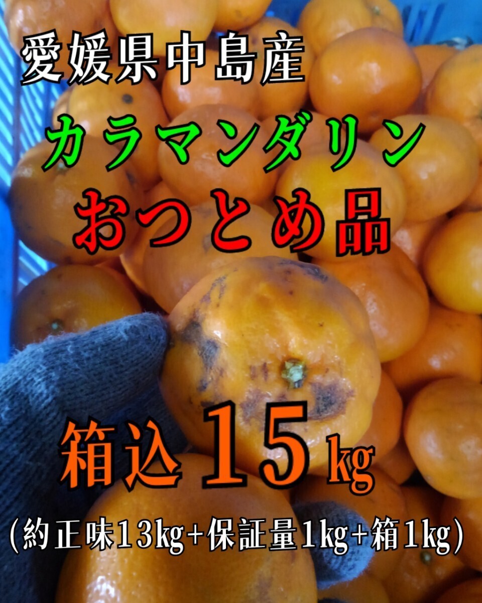 os現地中島郵便局より発送！！超特価！！愛媛県中島産カラマンダリンおつとめ品箱込15㎏(賞味13㌔+保証量1㌔+箱1㌔)産地直送①の画像1