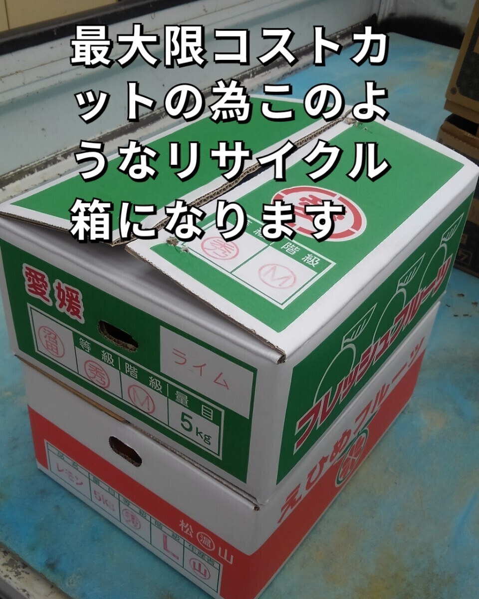 送料込！！超特価！！愛媛県中島産カラマンダリンおつとめ品箱込10㎏(賞味9㌔+保証量0.5㌔)産地直送②の画像7