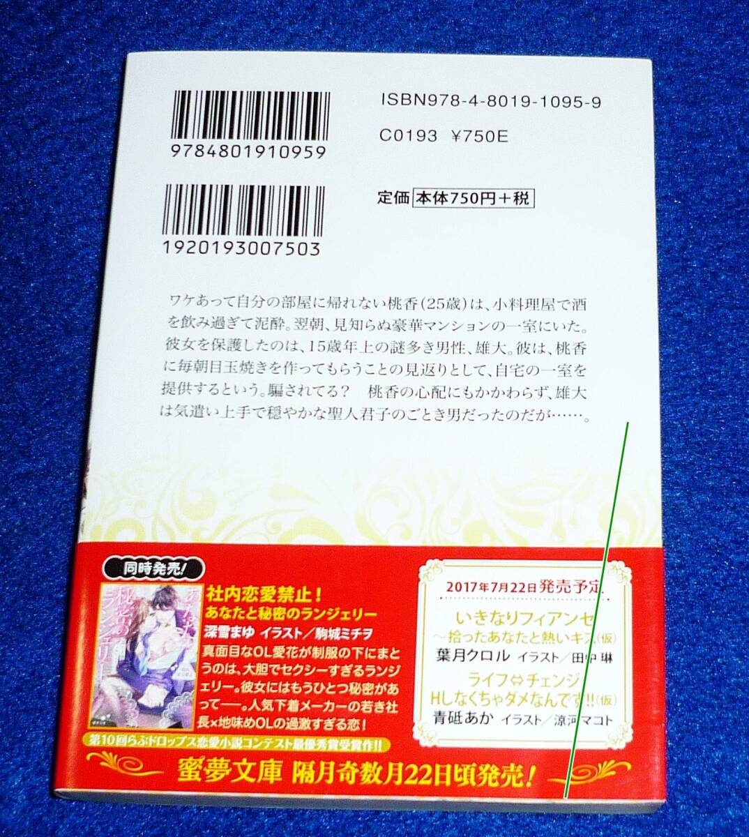  聖人君子が豹変したら意外と肉食だった件 (蜜夢文庫) 文庫 ★ 玉紀 直 (著), 黒田 うらら (イラスト)【051】_画像2