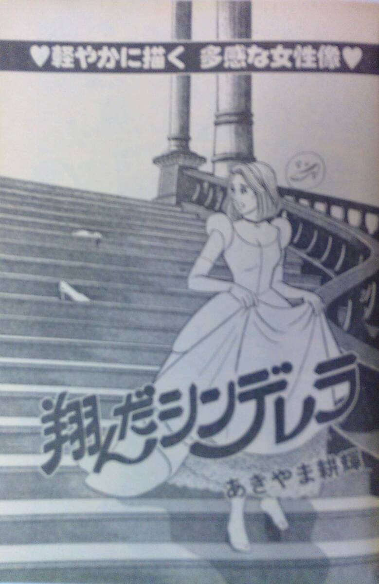 ビッグコミックオリジナル増刊号●60/4,6,8,10,12★5冊●釣りバカ日誌番外編,紅い芝生,安良城考,木村えいじ味いちもんめ,玄太郎,早坂未紀_画像4