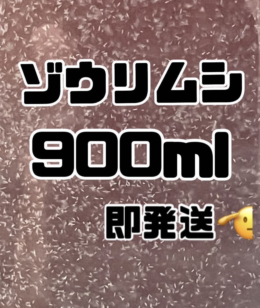 【ゾウリムシ大容量】900ml送料無料めだか金魚グッピーetc.の画像1
