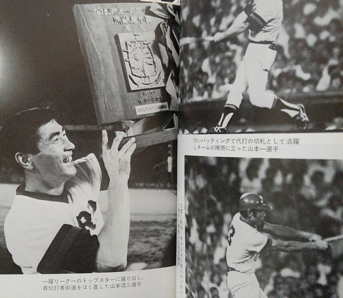 . light. Hiroshima carp manner snow 25 year outfall . work . writing company 1975 year no. 1 version no. 1. issue Showa era 50 year the first victory V1