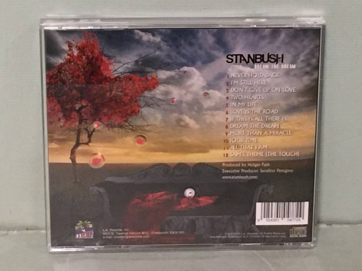 STAN BUSH スタン・ブッシュ / DREAM THE DREAM   US盤CD   未使用の画像2
