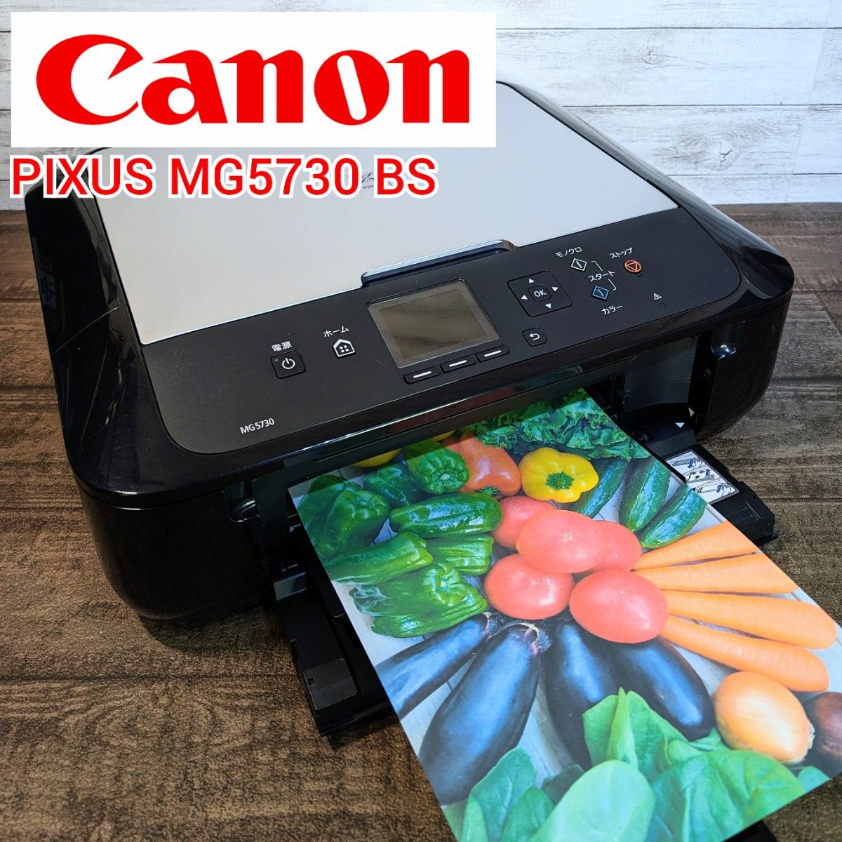 【動作良好】Canon カラープリンター PIXUS MG5730 BS