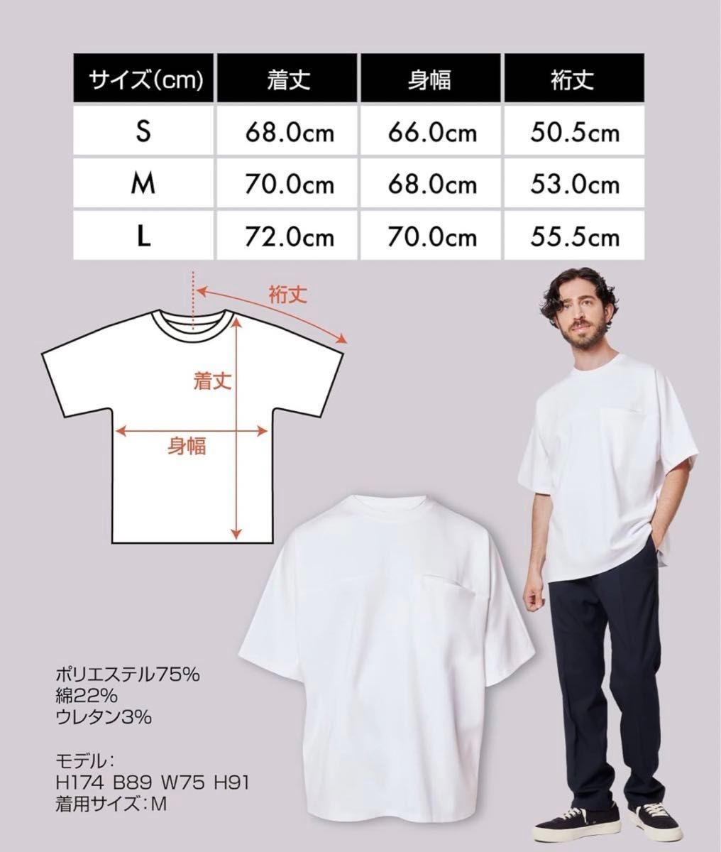 新品・未開封　AIM HOMME Tシャツ オーバーサイズ クルーネック Lサイズ