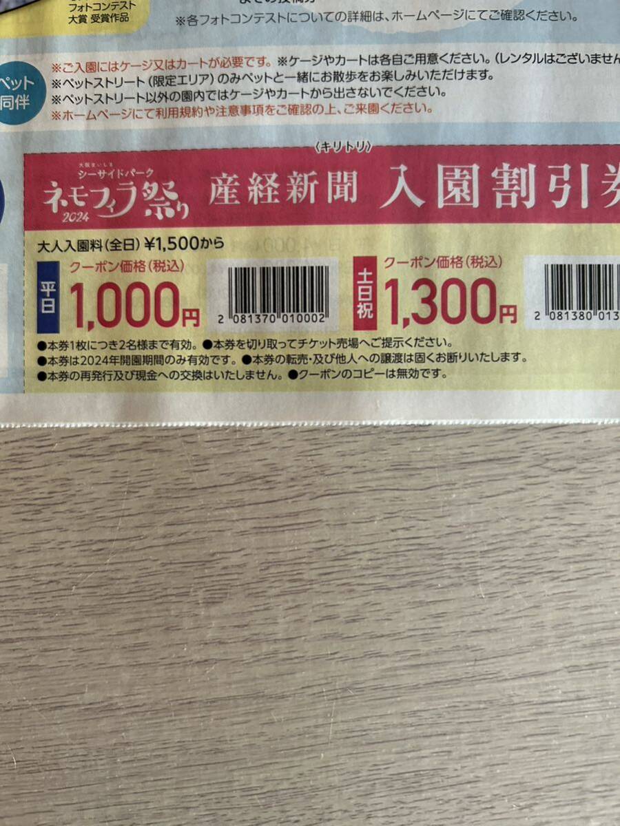 大阪まいしま シーサイドパーク ネモフィラ祭り2024 500円割引券の画像2