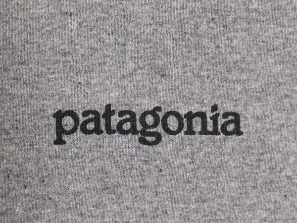 21年製 パタゴニア 両面 プリント 半袖 Tシャツ メンズ L 古着 Patagonia アウトドア グラフィック イラスト バックプリント クルーネック_画像4