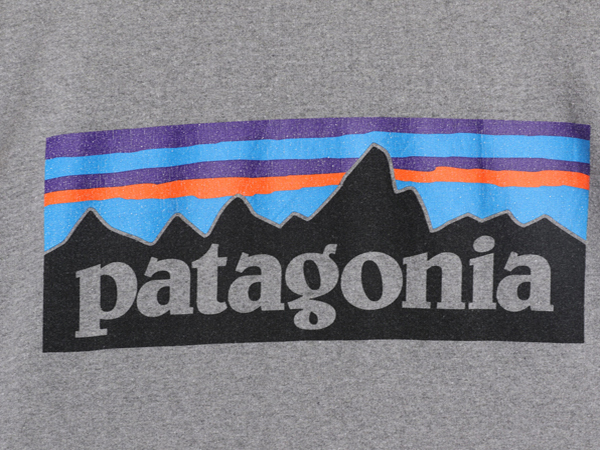 18年製 パタゴニア 両面 プリント 長袖 Tシャツ メンズ M / 古着 Patagonia アウトドア ロンT ロングスリーブ ロゴT P6 バックプリント 灰_画像3