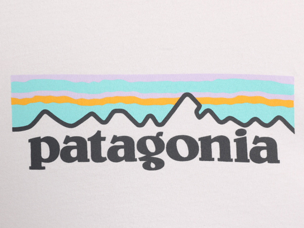 19年製 パタゴニア プリント 半袖 Tシャツ レディース L 古着 Patagonia アウトドア オーガニックコットン パステル フィッツロイ ホワイト_画像3