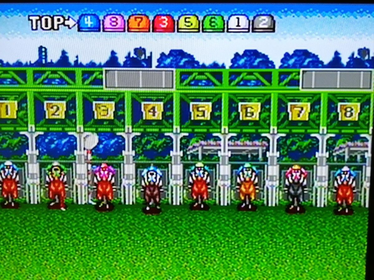 スーパーファミコン 競馬ソフト 3本セット SFC　レトロゲーム　まとめ売り