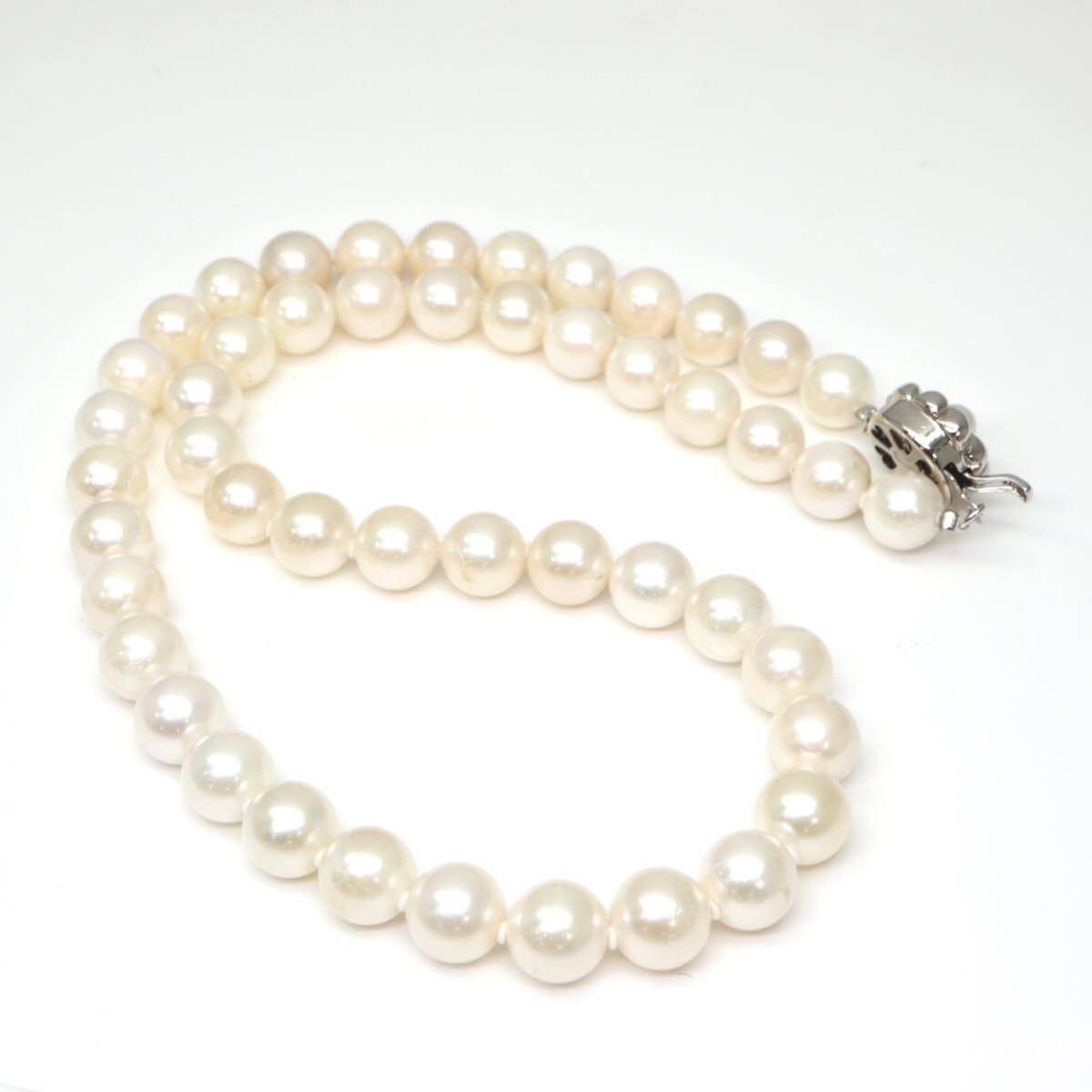 ◆アコヤ本真珠ネックレス/ 7 ◆A 約42.1g 約43.0cm 8.0-8.5mm珠 pearl パール jewelry necklace ジュエリー CE0/DE0の画像8