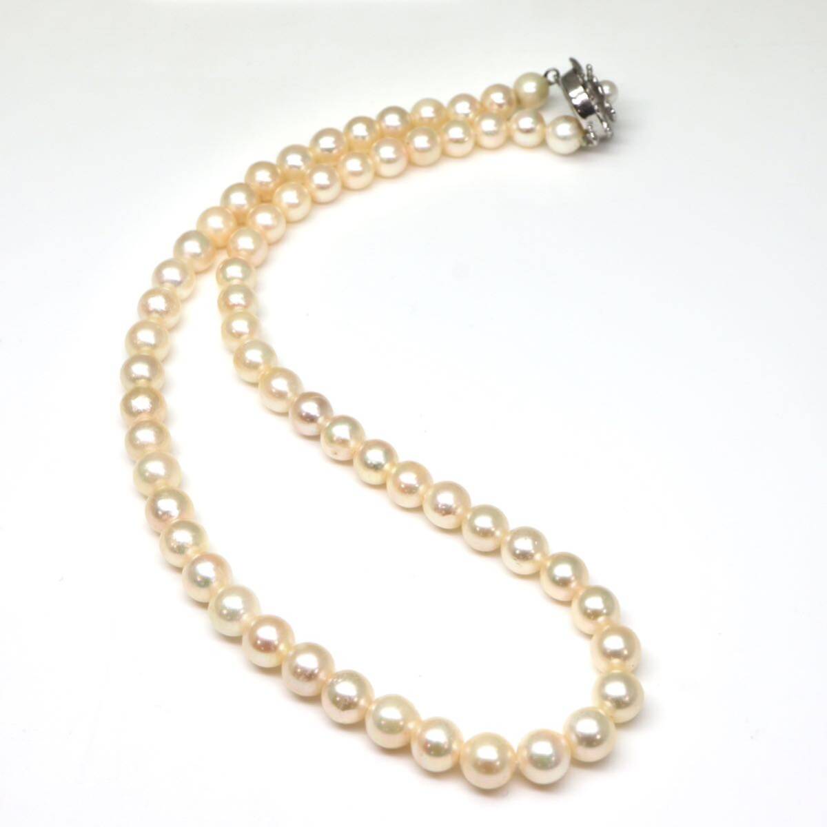 ◆アコヤ本真珠ネックレス/ 1 ◆A 約27.3g 約40.5cm 6.5mm珠 pearl パール jewelry necklace ジュエリー DE0/DH0の画像8