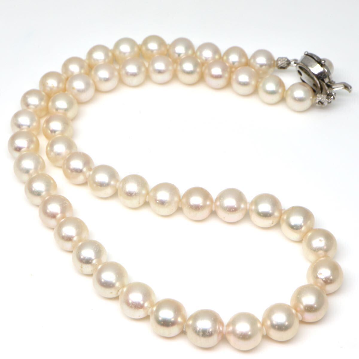◆アコヤ本真珠ネックレス/ 21 ◆A 約37.7g 約40.0cm 8.0mm珠 pearl パール jewelry necklace ジュエリー DA0/EA0の画像8