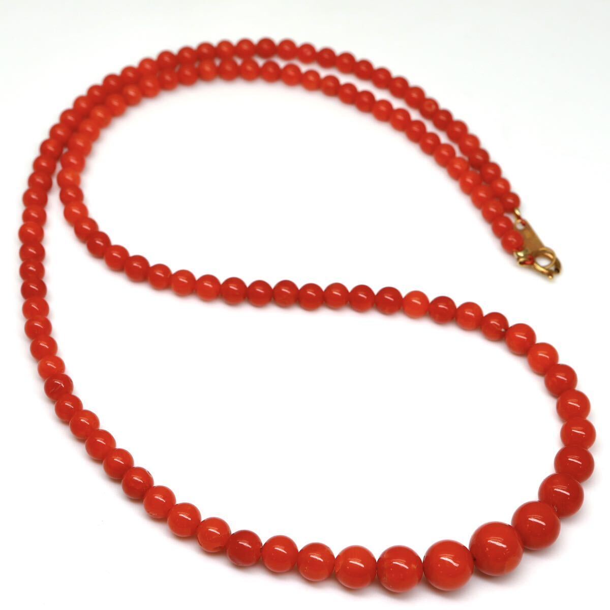 ◆天然本珊瑚ネックレス◆A◎ 約9.7g 約45.0cm 3.2-6.5mm珠 coral コーラル jewelry necklace ジュエリー EA0/EA0の画像6