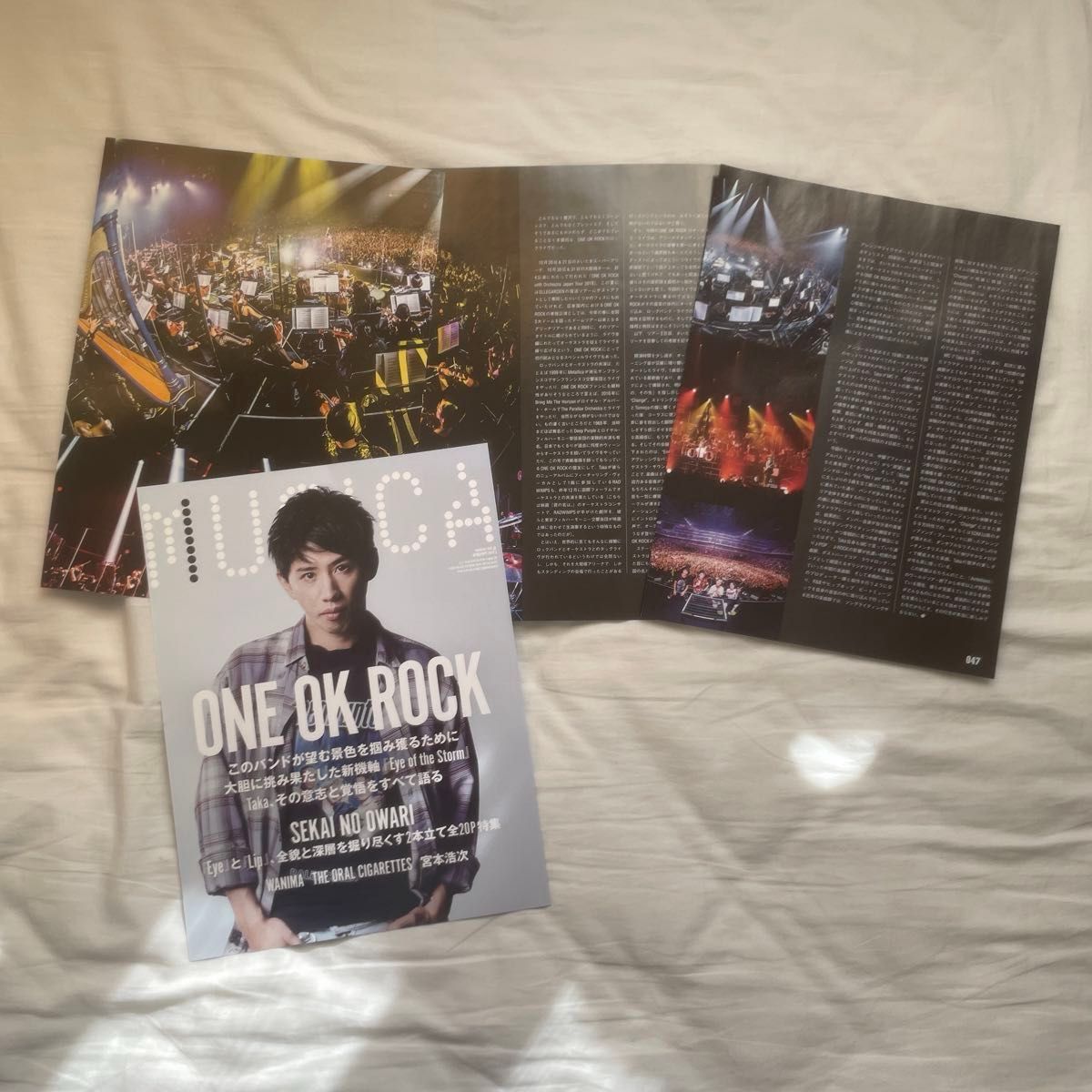 ONE OK ROCK 雑誌 切り取りページ