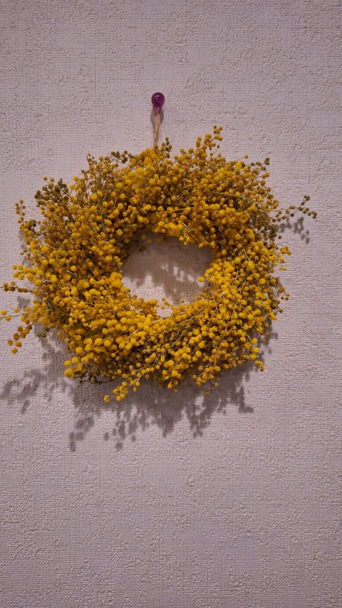 ちっちゃな、ミモザのドライフラワー リース　可愛いインテリア　黄色い花ミモザのリース