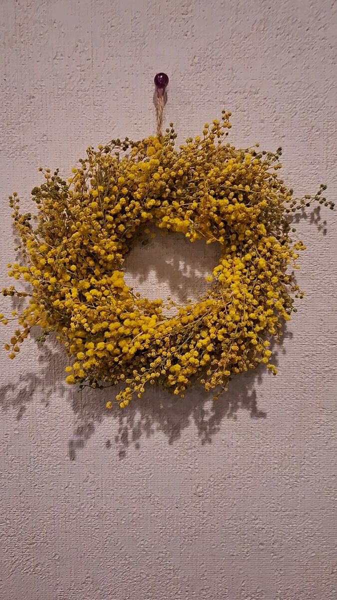 ちっちゃな、ミモザのドライフラワー リース　可愛いインテリア　黄色い花ミモザのリース