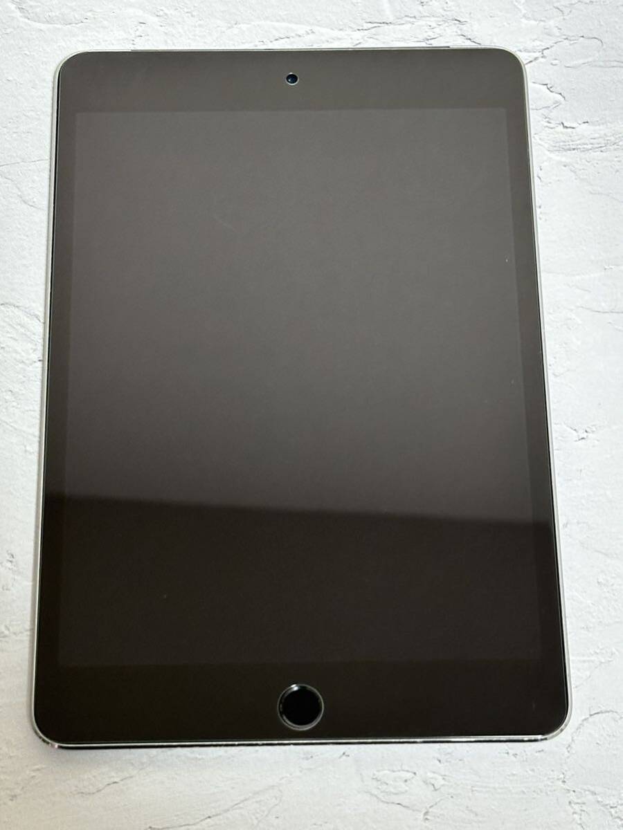 iPad mini 4世代 128GB セルラーモデル スペースグレー sku10_画像2